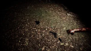 Скриншот 2 к игре The Hollow Path VR