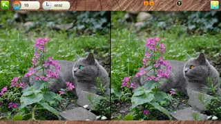 Скриншот 2 к игре Peaceful Gardens 2: Cute Cats - Hidden Objects Collector's Edition