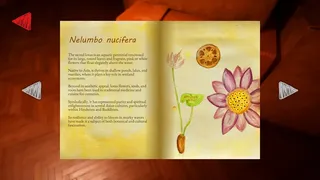 Скриншот 6 к игре My Dear Emma