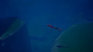Скриншот 4 к игре Jump Frog