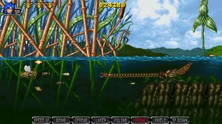 Скриншот 3 к игре Apidya' Special