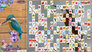 Скриншот 5 к игре Hidden Pairs 3: Lovely Birds - Hidden Objects
