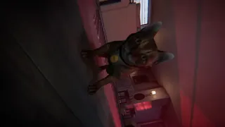 Скриншот 7 к игре The Floor Above