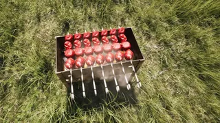 Скриншот 2 к игре ДАЧА