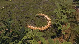 Скриншот 1 к игре Centipede Simulator