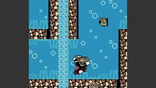 Скриншот 3 к игре Rabidja's Revenge
