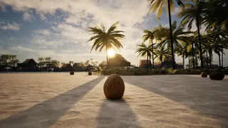 Скриншот 1 к игре Coconut Simulator 2