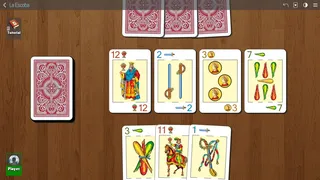 Скриншот 1 к игре Escoba