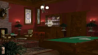 Скриншот 4 к игре Intrigue At Oakhaven