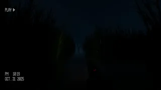 Скриншот 2 к игре Field Of Screams