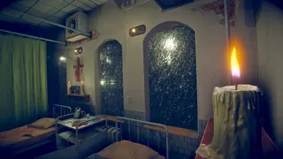 Скриншот 3 к игре The Amygdala Protocol