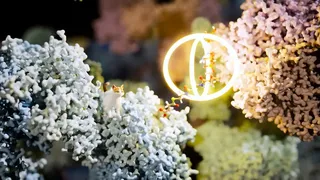 Скриншот 3 к игре Meowtabolism - Examining Feline Behavior within Unicellular Algae