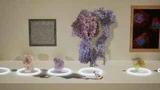 Скриншот 5 к игре Meowtabolism - Examining Feline Behavior within Unicellular Algae