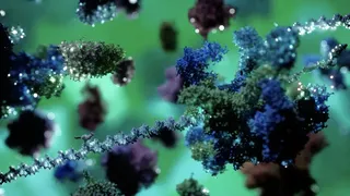 Скриншот 8 к игре Meowtabolism - Examining Feline Behavior within Unicellular Algae