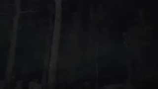 Скриншот 1 к игре Blood & Silence