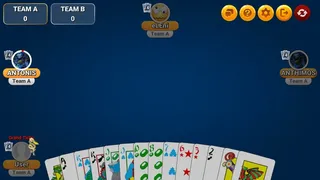 Скриншот 6 к игре Tichupro by Spectrum