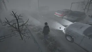 Скриншот 1 к игре Chilling Silence