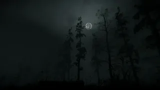 Скриншот 5 к игре Withered Haven