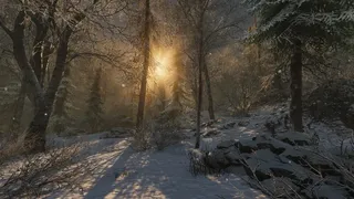 Скриншот 5 к игре Forest of Lost Wanderers