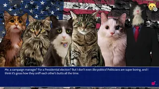 Скриншот 1 к игре Cat President: 3rd-Rate Candidate