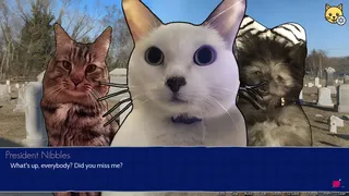 Скриншот 5 к игре Cat President: 3rd-Rate Candidate