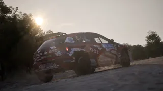 Скриншот 1 к игре Assetto Corsa Rally