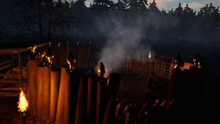 Скриншот 3 к игре 88 NIGHTS IN THE FOREST