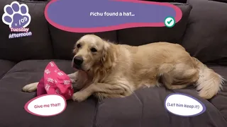 Скриншот 8 к игре Golden Retriever Simple Life