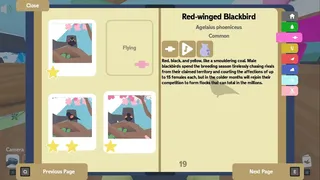 Скриншот 4 к игре Flock Around