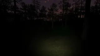 Скриншот 6 к игре Fox Pines