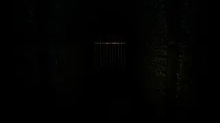 Скриншот 7 к игре Veilborne Sacrament
