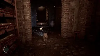 Скриншот 5 к игре The Last Raccoon