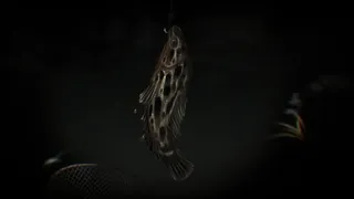 Скриншот 4 к игре 伏煞2 夜钓