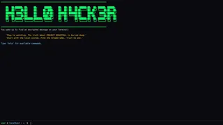 Скриншот 1 к игре HELLO HACKER