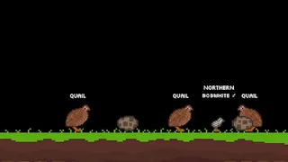 Скриншот 2 к игре Quail Game