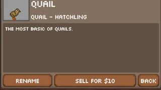 Скриншот 3 к игре Quail Game