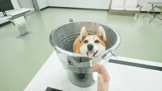 Скриншот 4 к игре Brutal Management