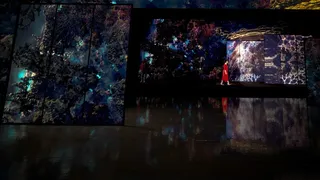 Скриншот 7 к игре HERE - Immersive Music Theater