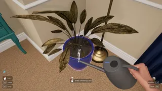 Скриншот 6 к игре Woman Simulator