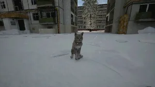 Скриншот 4 к игре Cig Walk