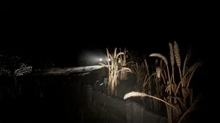 Скриншот 7 к игре Dead Feed
