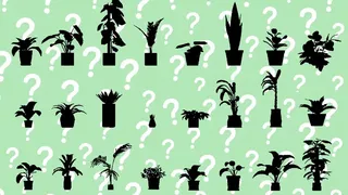 Скриншот 2 к игре A Game About PLANT