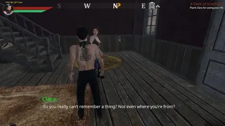 Скриншот 3 к игре Blood and Dust