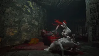 Скриншот 2 к игре Devoris