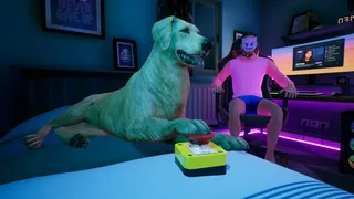 Скриншот 1 к игре STREAMER, DOG, SHOCKER