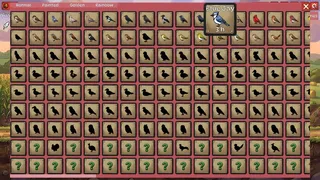 Скриншот 6 к игре Aviarium