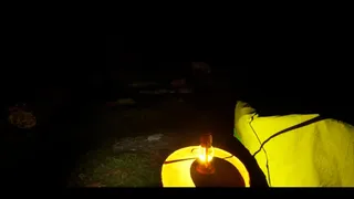 Скриншот 2 к игре THE SCREAM OF DARKNESS
