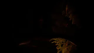 Скриншот 3 к игре THE SCREAM OF DARKNESS