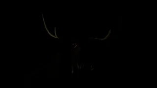 Скриншот 6 к игре THE SCREAM OF DARKNESS