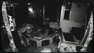 Скриншот 2 к игре 日本事故物件監視協会2 -Japan Stigmatized Property-